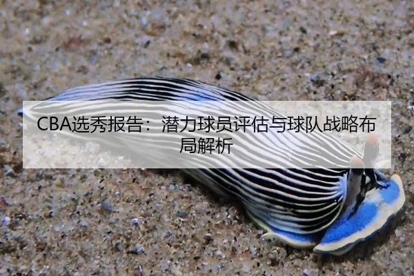 CBA选秀报告：潜力球员评估与球队战略布局解析